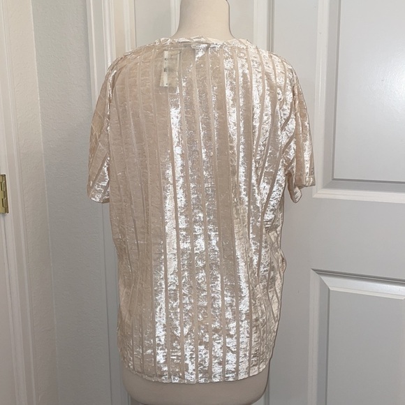 EXPRESS velvet striped sheer short sleeve shirt w/ high-low slit in size medium - Picture 4 of 9